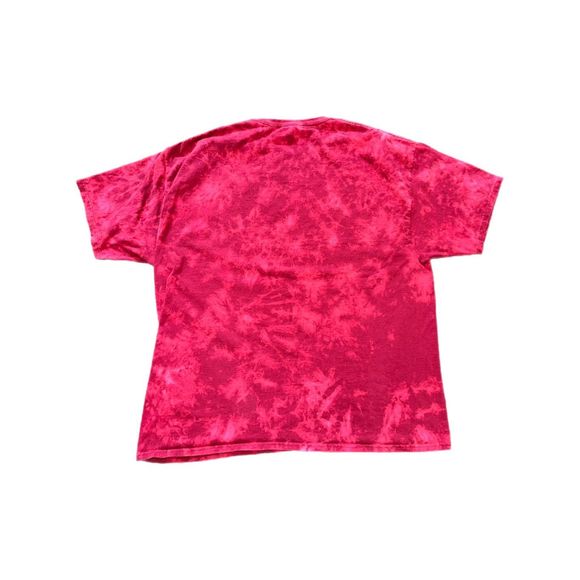 UMass Ice Hockey 2021 National Champions Bleached Tee - Picture 2 of 3